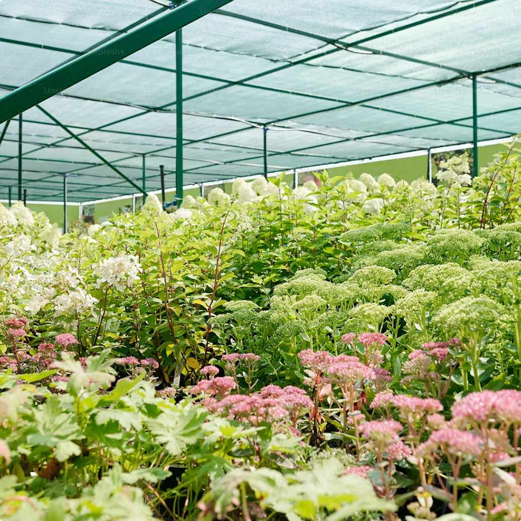 FGD-P3_sourcing_11zon