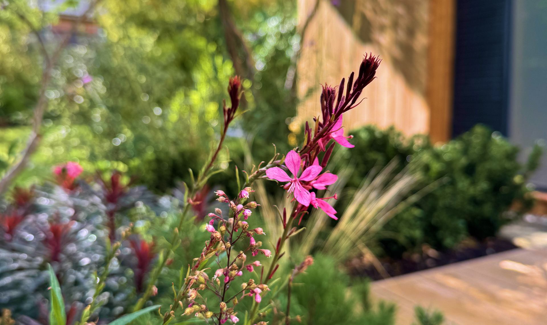 hero_desktop2_2_11zon