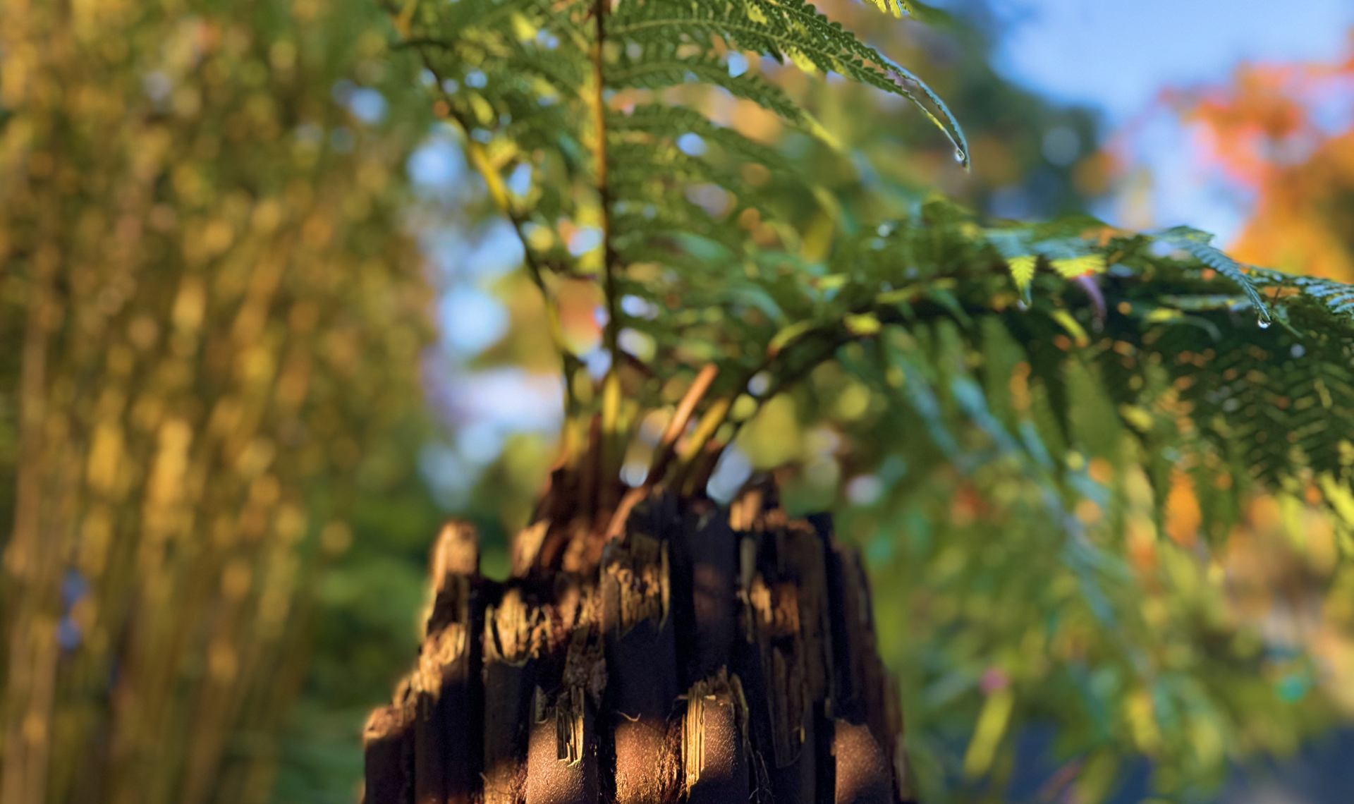 hero_desktop4_4_11zon