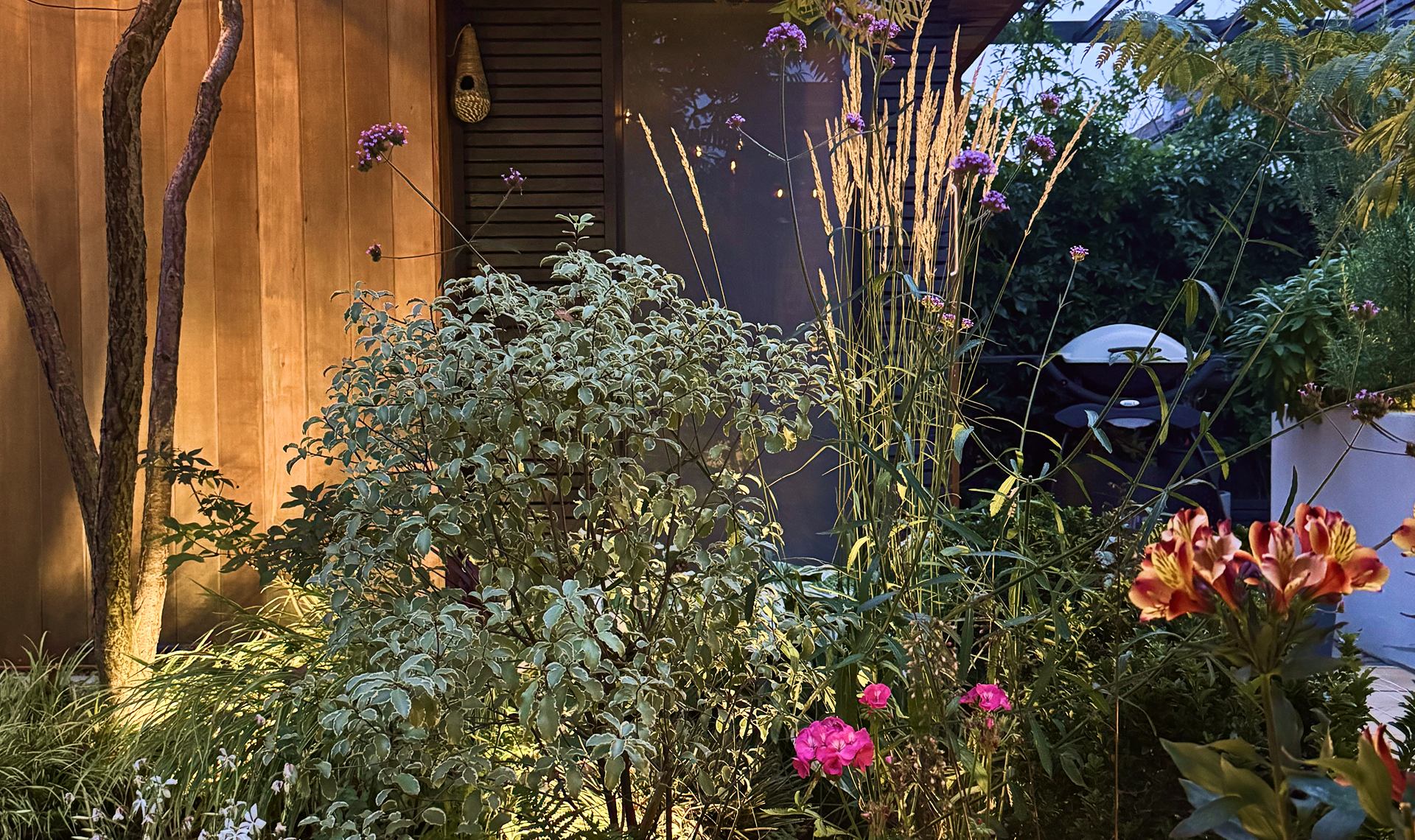 hero_desktop5_5_11zon