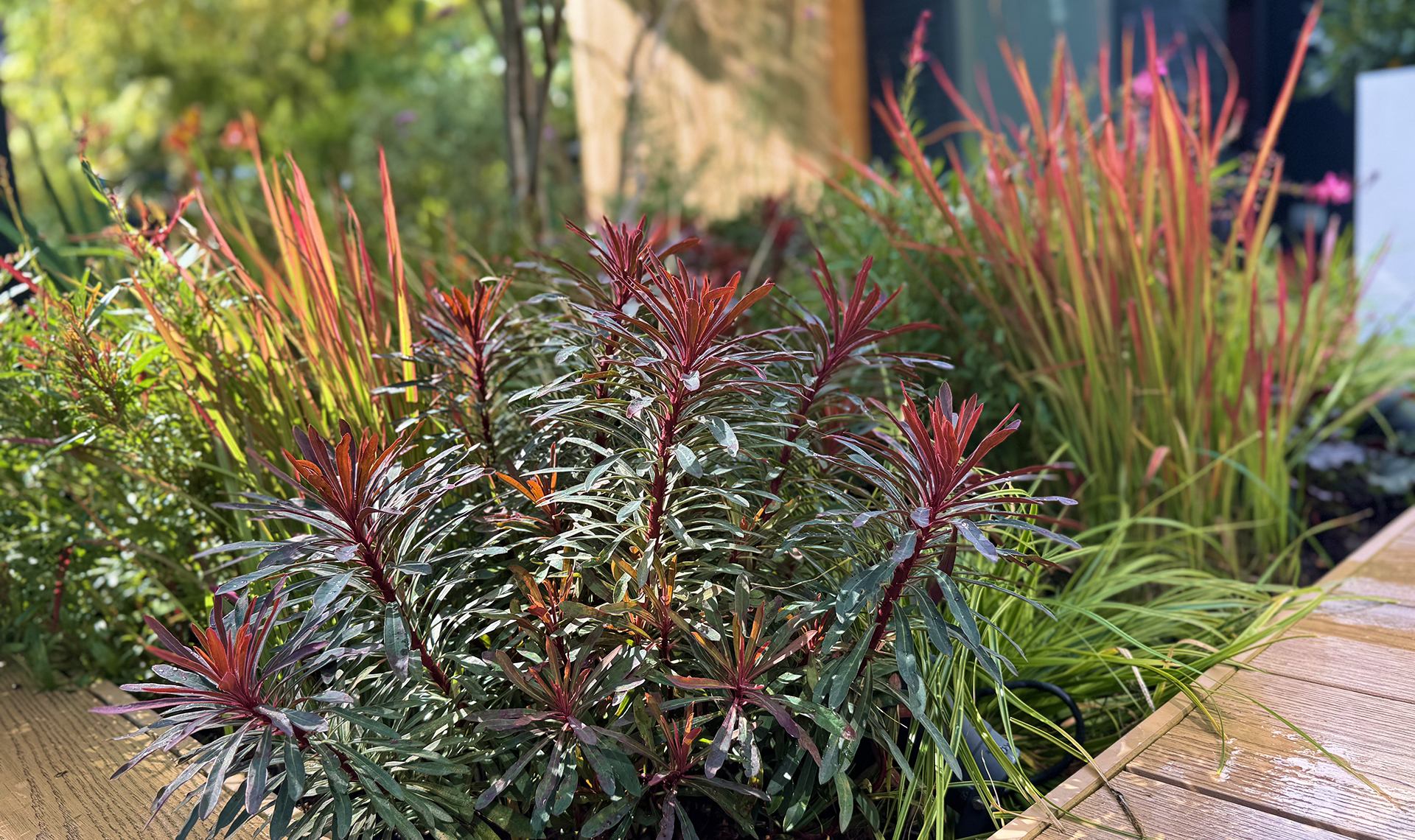 hero_desktop6_6_11zon