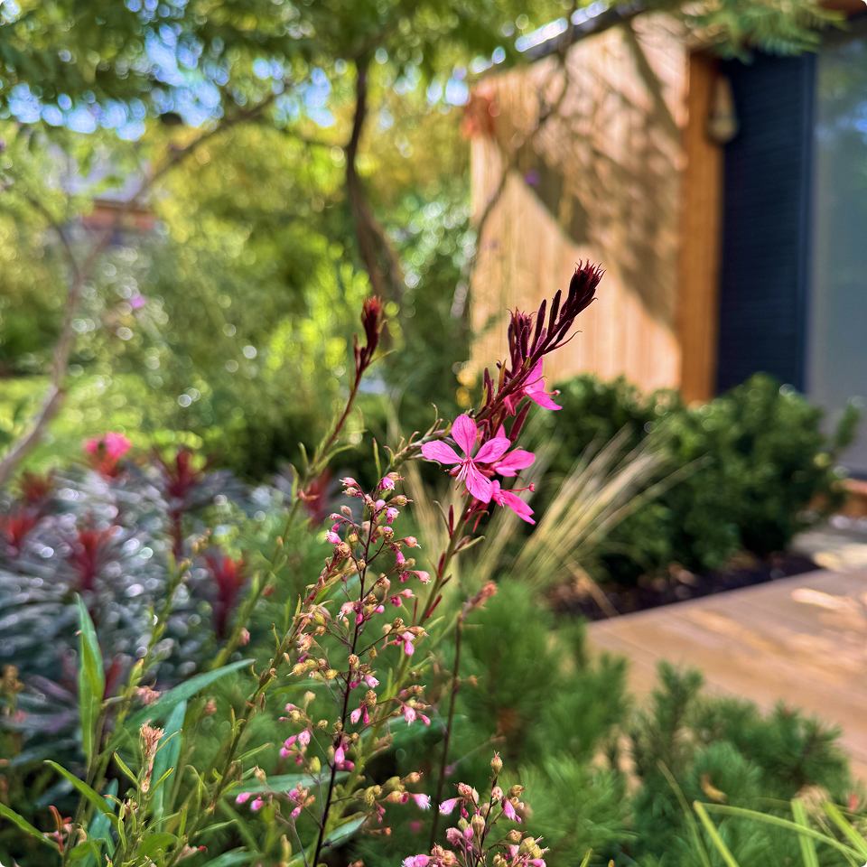 hero_mobile2_8_11zon