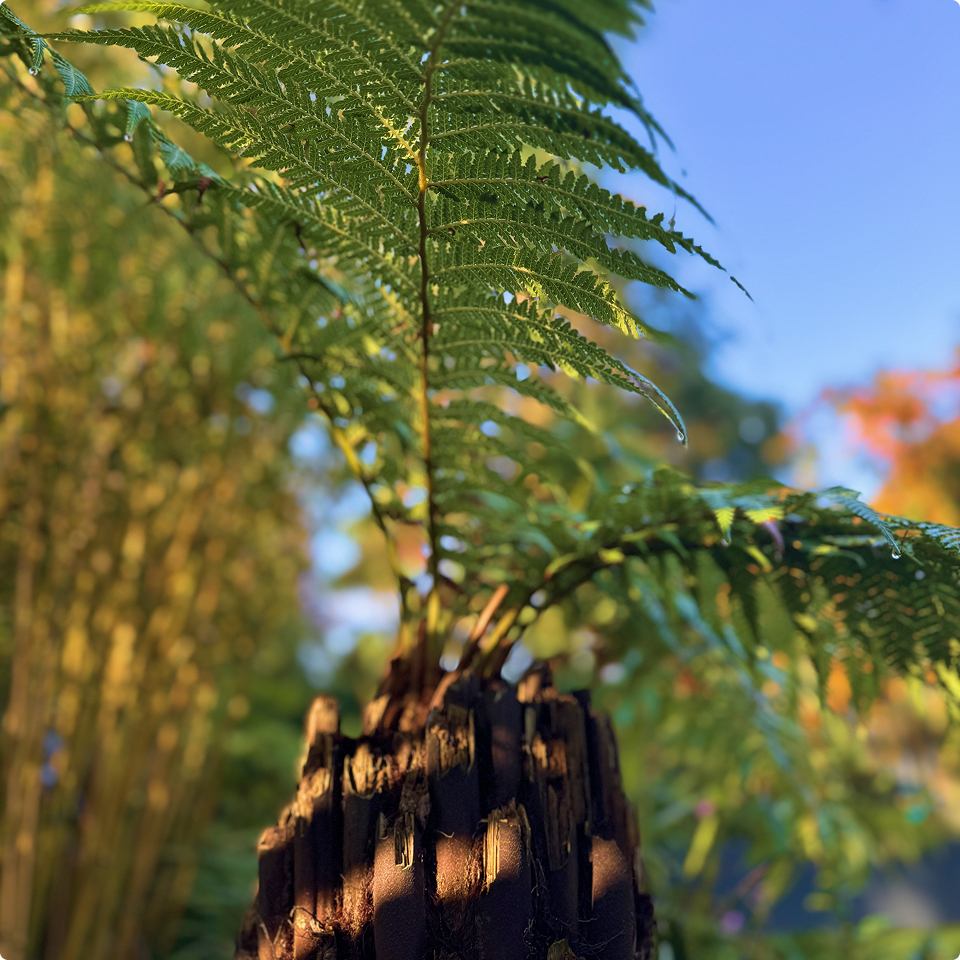 hero_mobile4_10_11zon