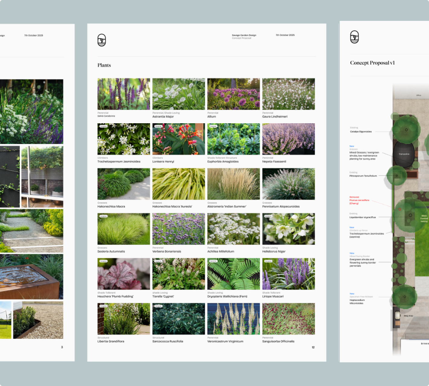 plant-plan plant-plan