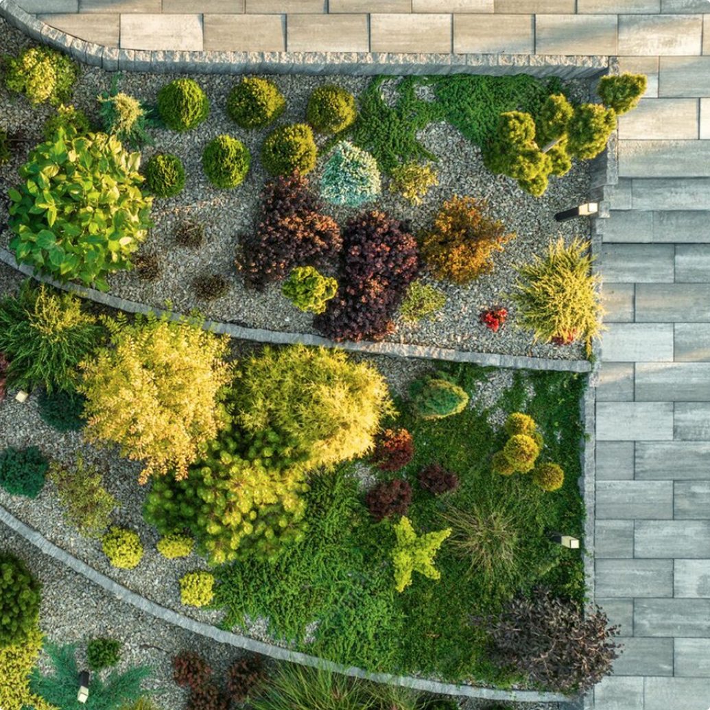 FGD_P3_sitevisit_11zon